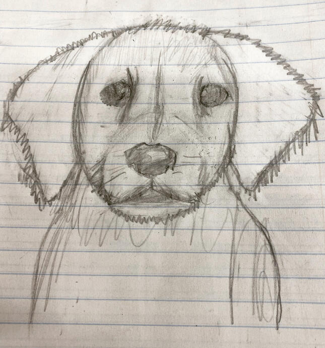 Sketch of a lab