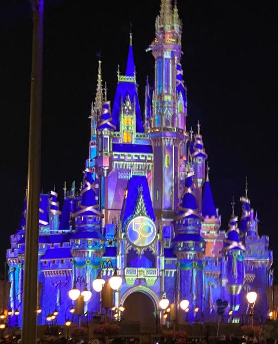 Disney's 50th Castle
